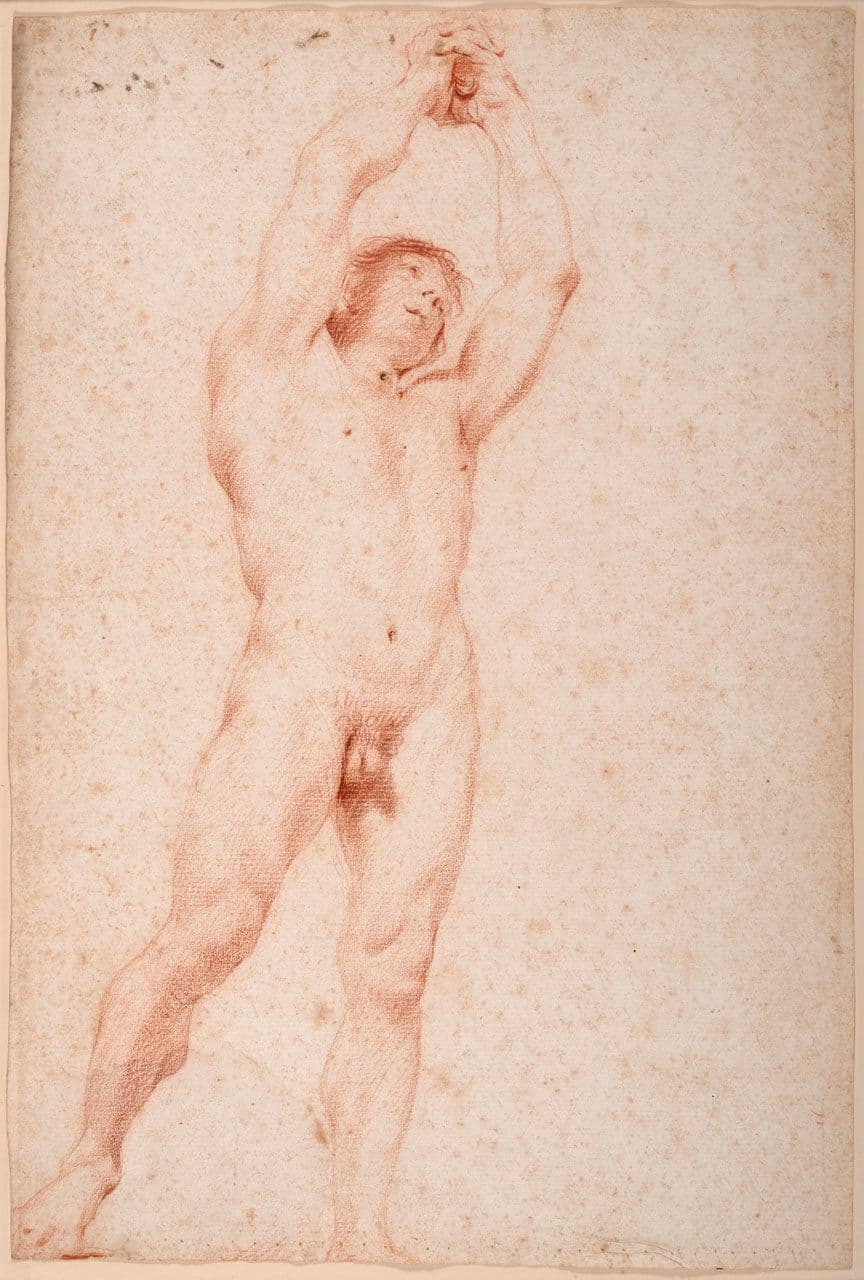 Male Nude
