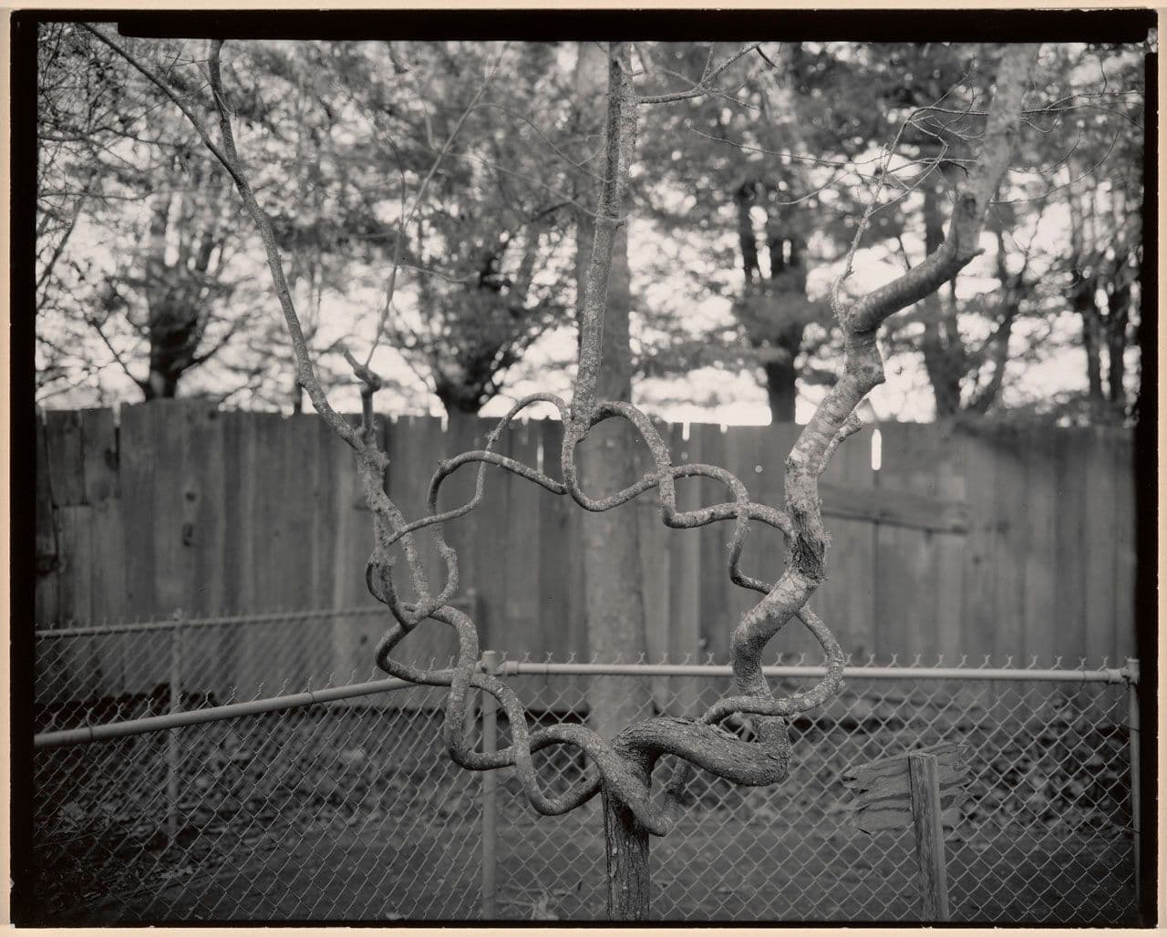 Untitled, from the New California Views portfolio