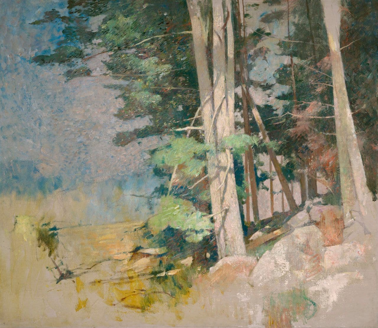 Sunlit Wood