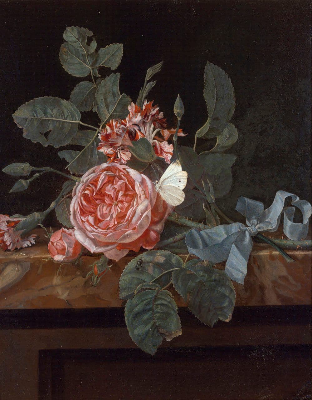 Roses and Butterfly