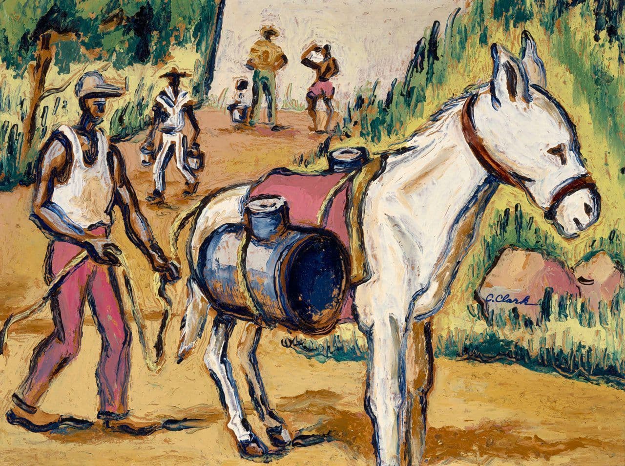 Oasis (Virgin Islands)