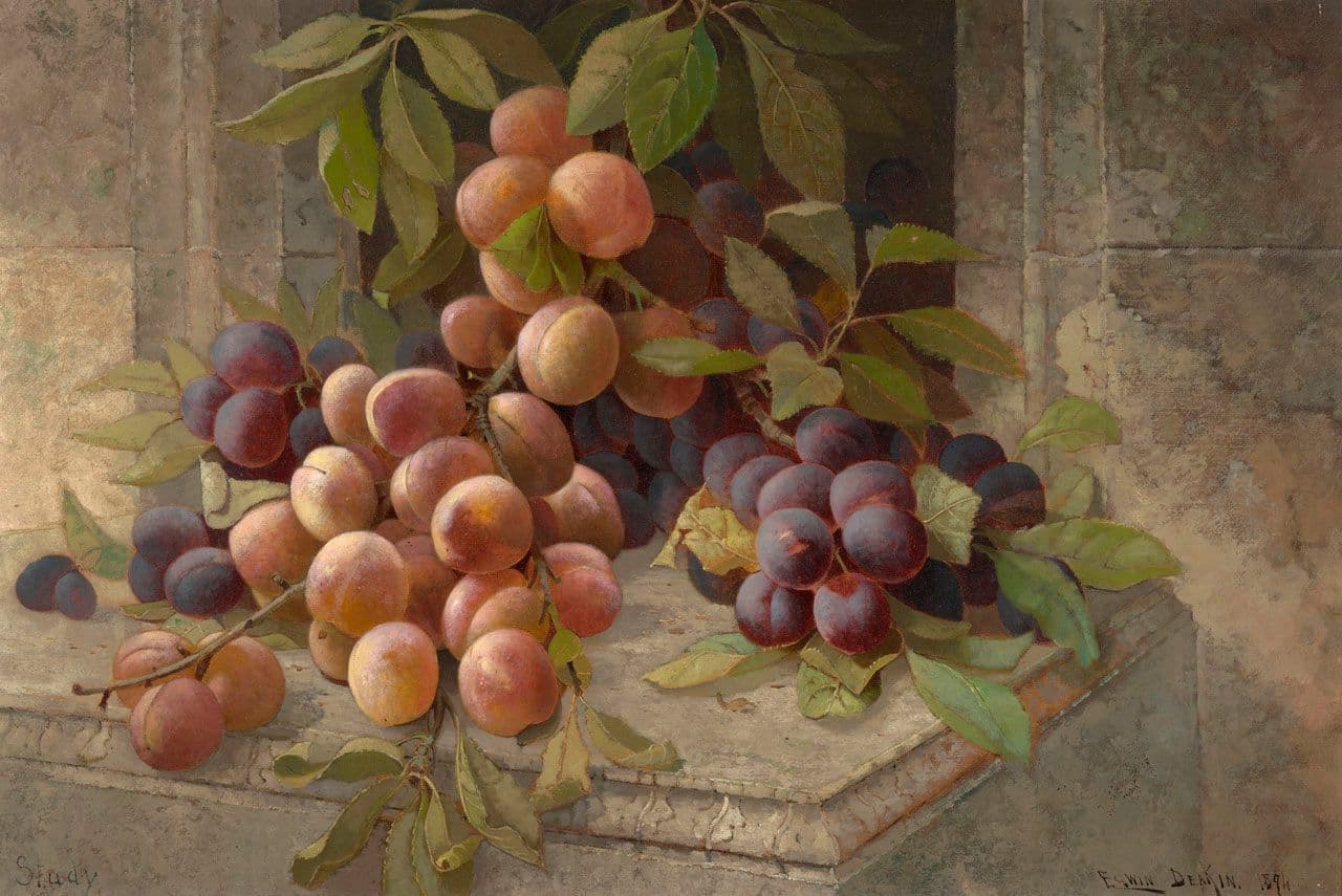 Still Life of Plums