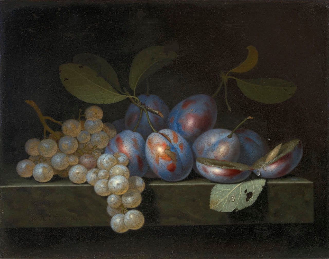 Plums and Grapes on a Stone Ledge