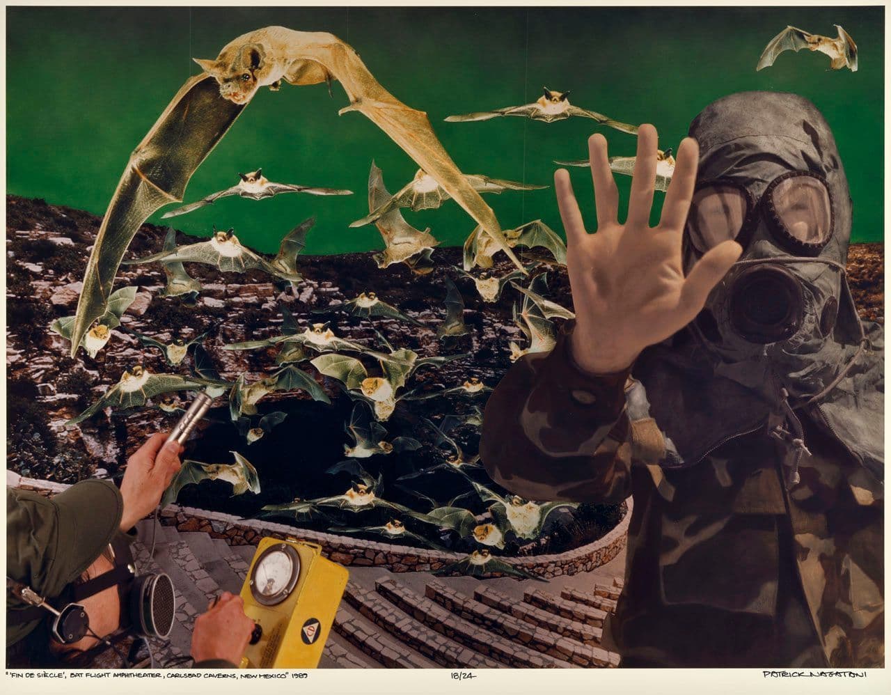 'Fin de Siècle,' Bat Flight Amphitheater, Carlsbad Caverns, New Mexico, from "Nuclear Enchantment"