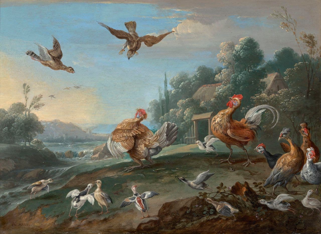 Chickens and their Young Disturbed by Sparrow Hawks