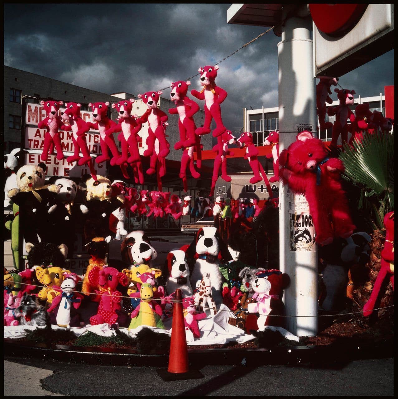 Pink Panthers, from the New California Views portfolio