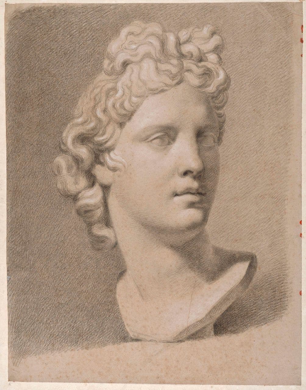 Apollo Belvedere (Front View)