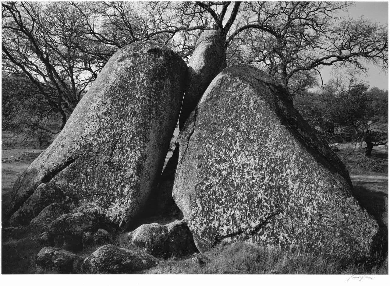 Rocks and Trees