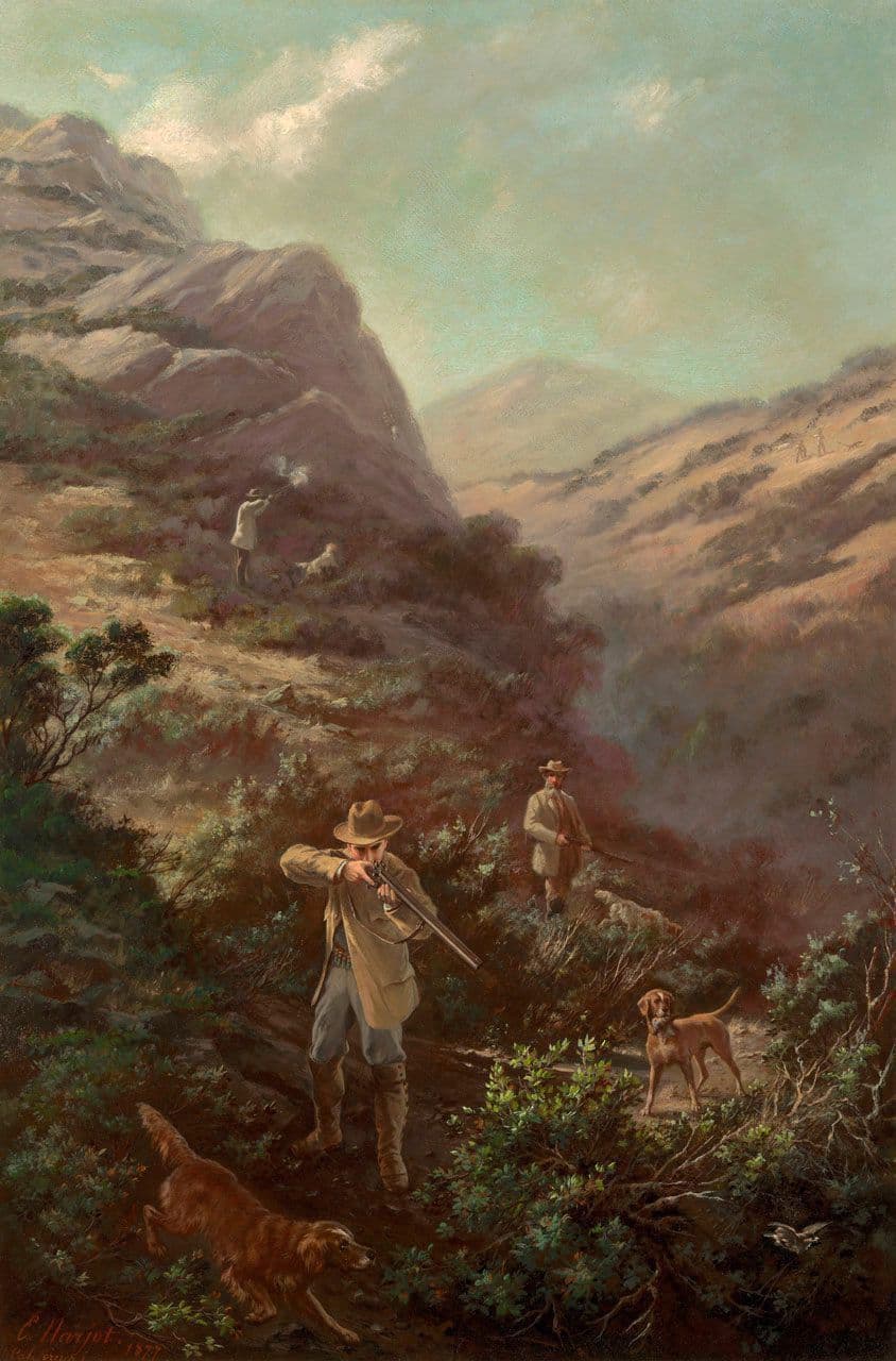 Quail Hunting in Marin