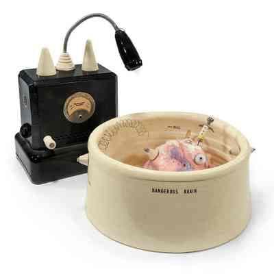 Dangerous Brain Bowl