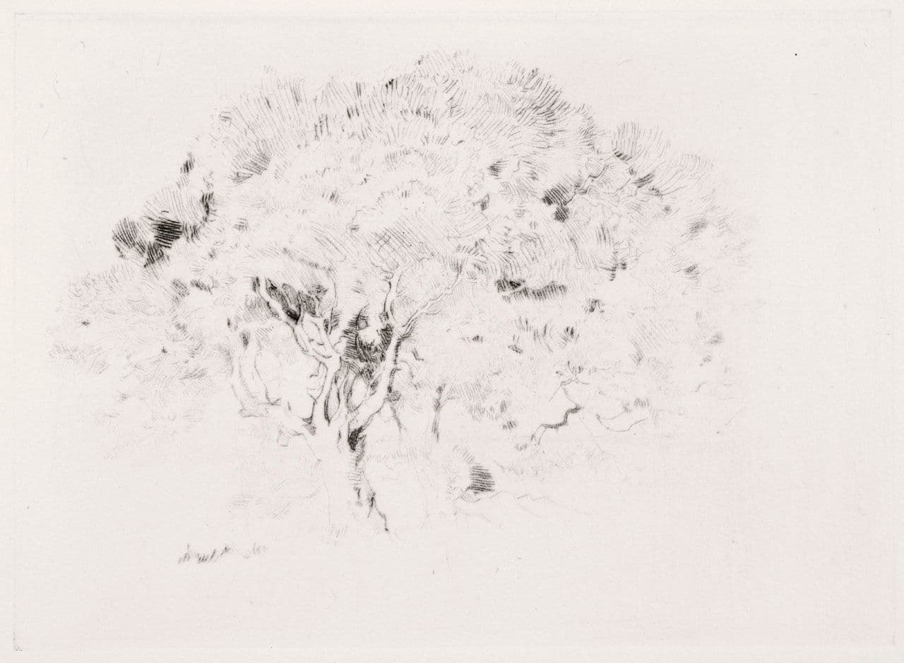 A Study of Trees
Percy Gray
19th Century,20th Century
1980.27.b A Study of Trees