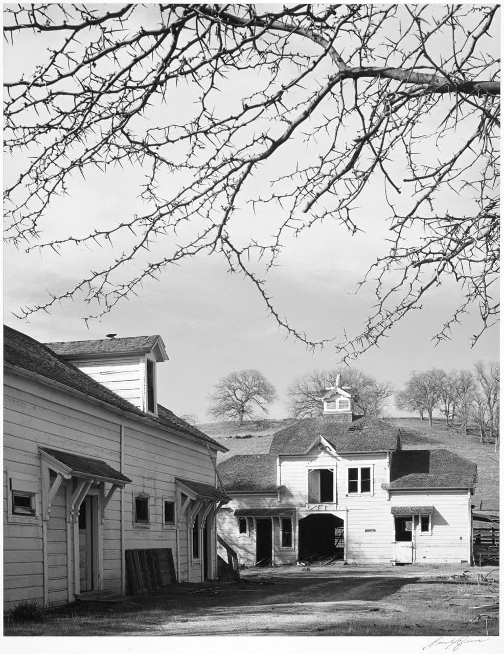 Old Barn, Spring Valley Ranch
Ansel Adams
20th Century
1963.11.16 Old Barn, Spring Valley Ranch