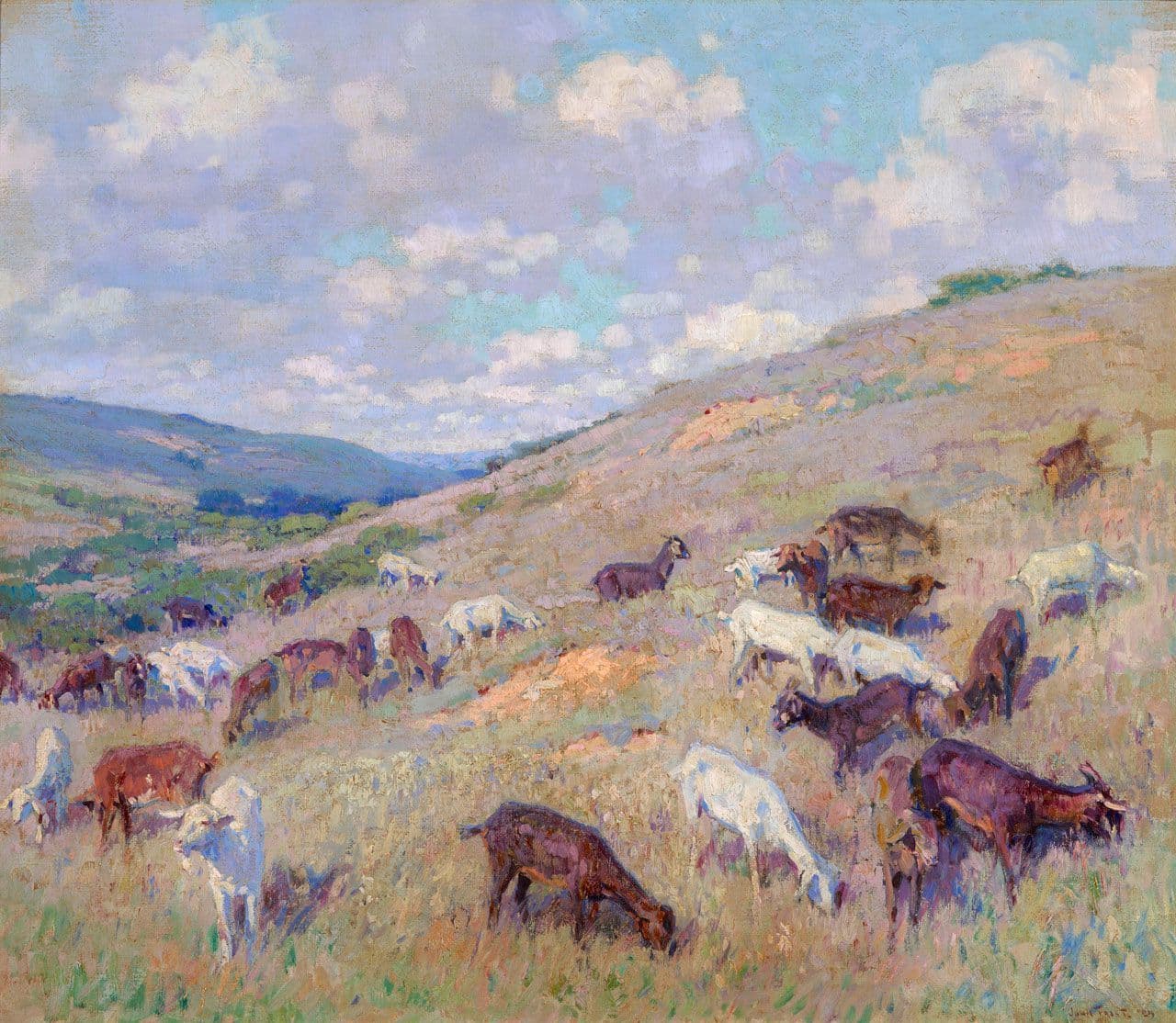 Goats on a Hillside, Pomona
John  Frost 
20th Century
2017.108 Goats on a Hillside, Pomona