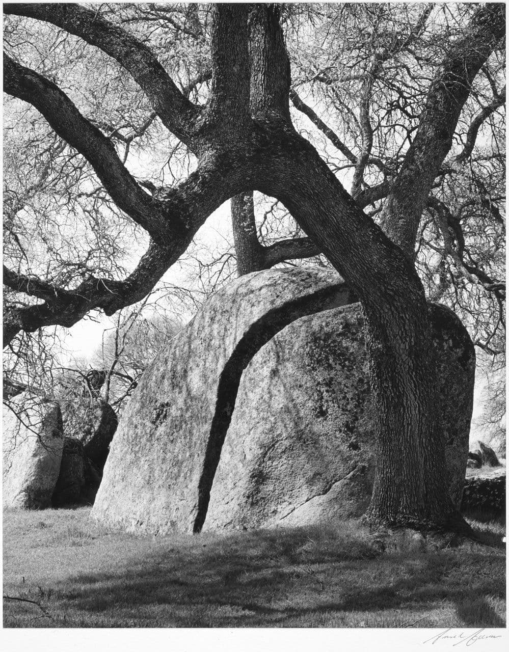 Rocks and Oaks
Ansel Adams
20th Century
1963.11.19 Rocks and Oaks