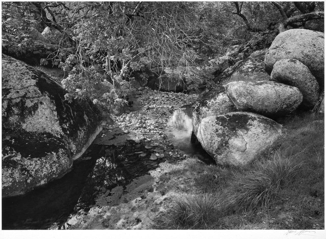 Rocks, Leaves, Pool
Ansel Adams
20th Century
1963.11.1 Rocks, Leaves, Pool