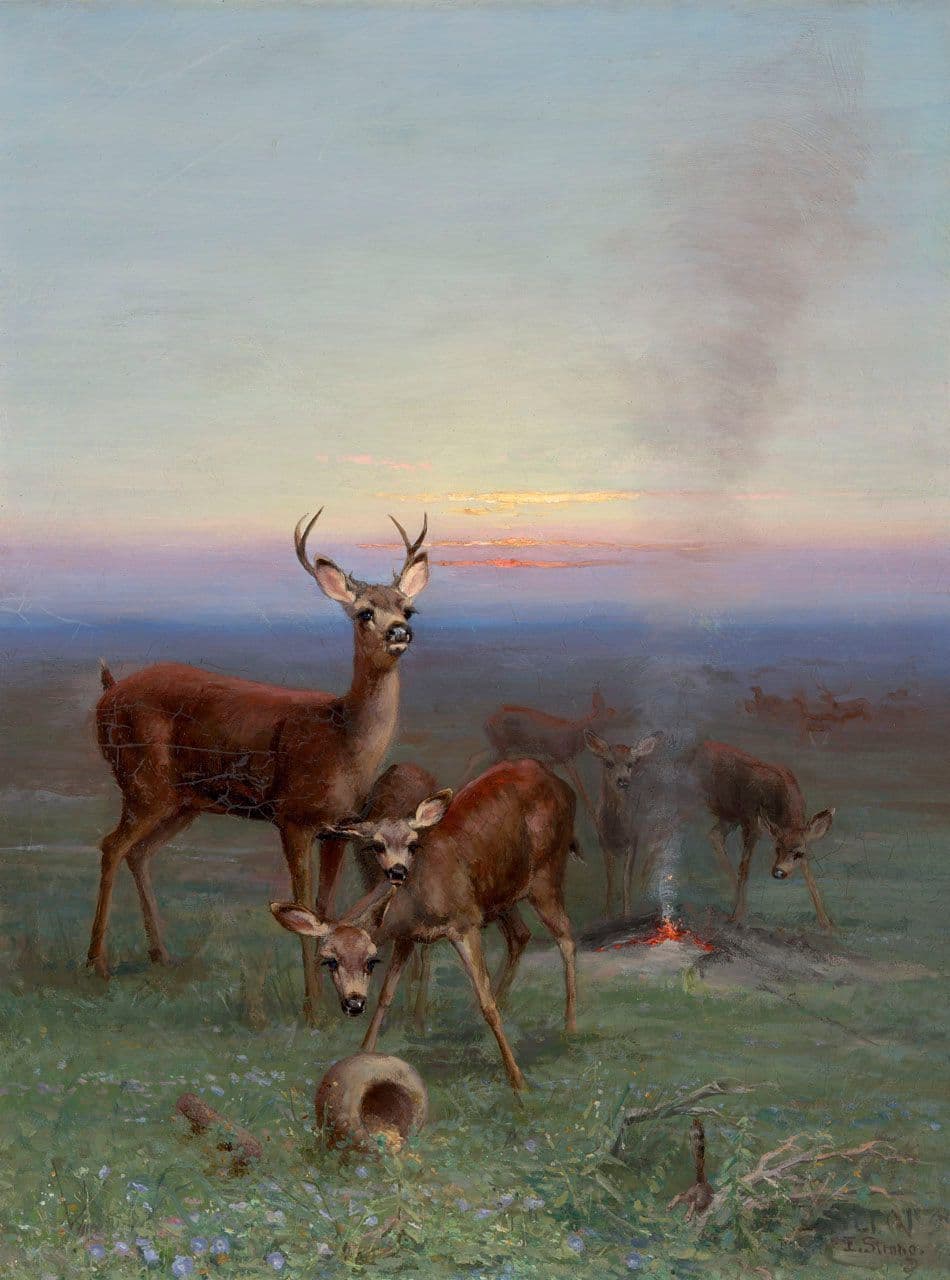 Monterey Deer
Elizabeth Strong
19th Century
1872.522 Monterey Deer