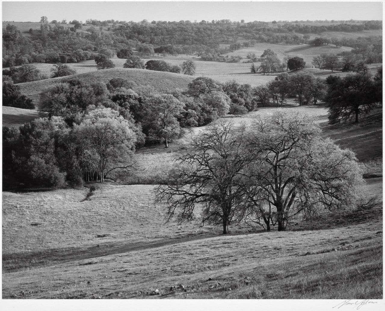 Shallow Valley
Ansel Adams
20th Century
1963.11.3 Shallow Valley