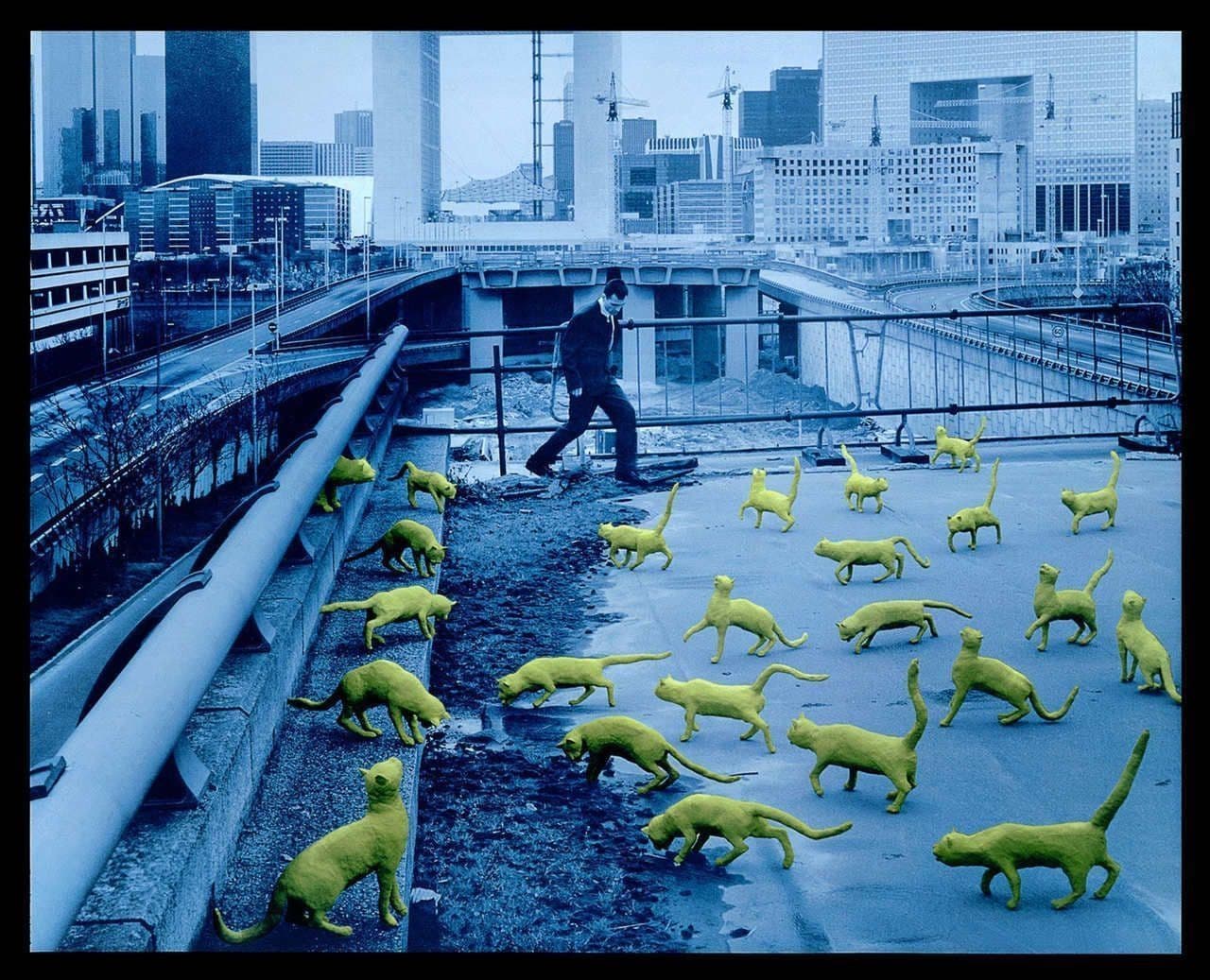 Cats in Paris
Sandy  Skoglund 
20th Century
2016.35 Cats in Paris