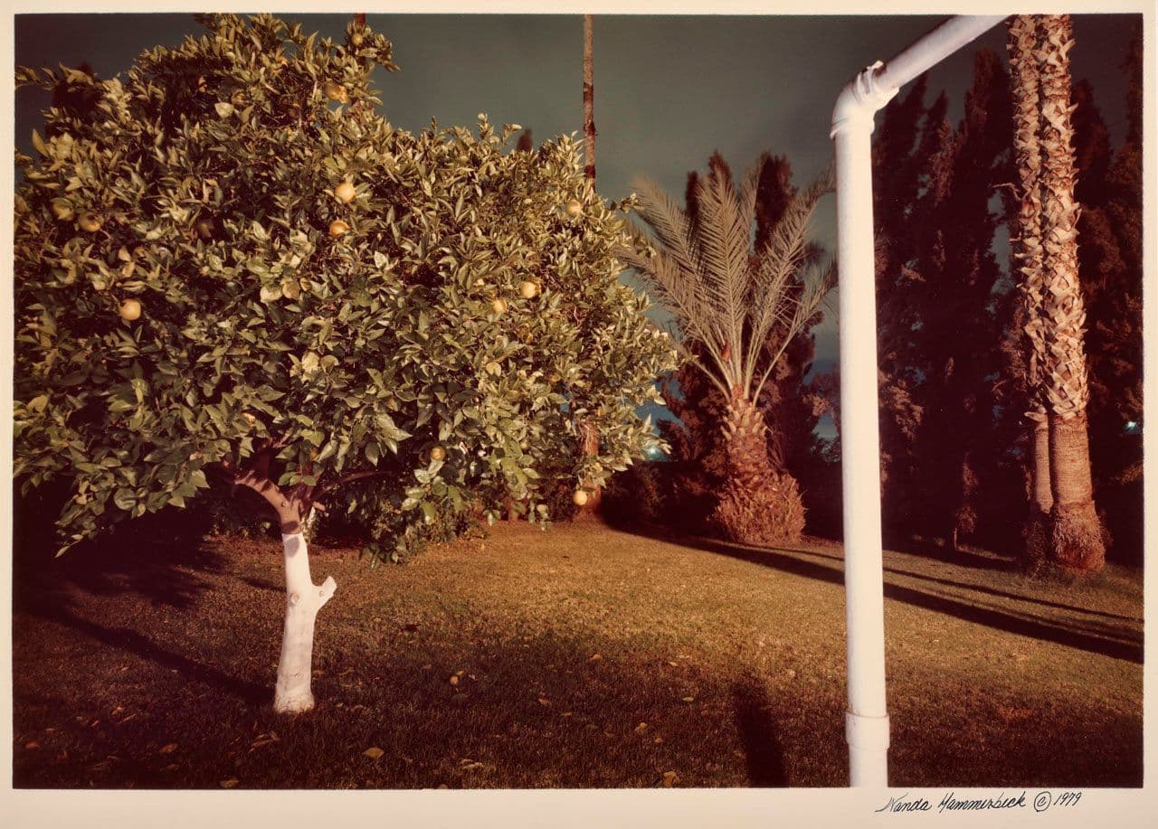 Untitled, from the New California Views portfolio
Wanda Hammerbeck
20th Century
2015.90.8 Untitled, from the New California Views portfolio
