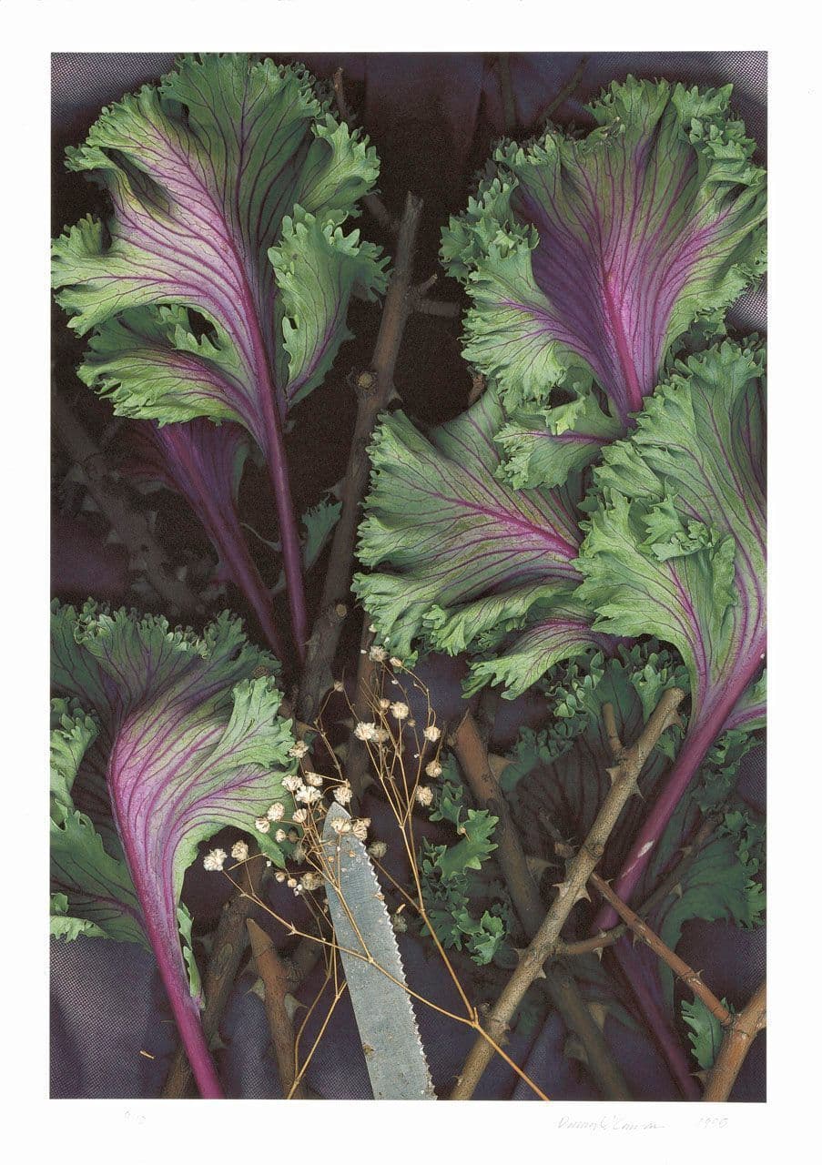 Untitled
Darryl Curran
20th Century
2013.63.1 Untitled
