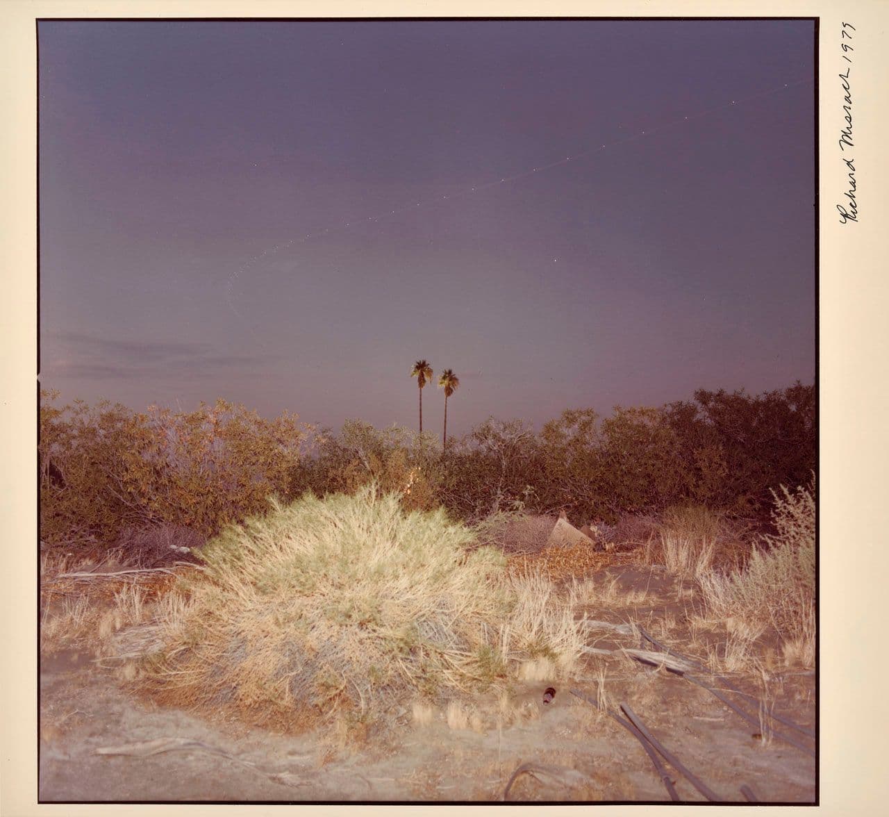 Untitled, from the New California Views portfolio
Richard Misrach
20th Century
2015.90.12 Untitled, from the New California Views portfolio