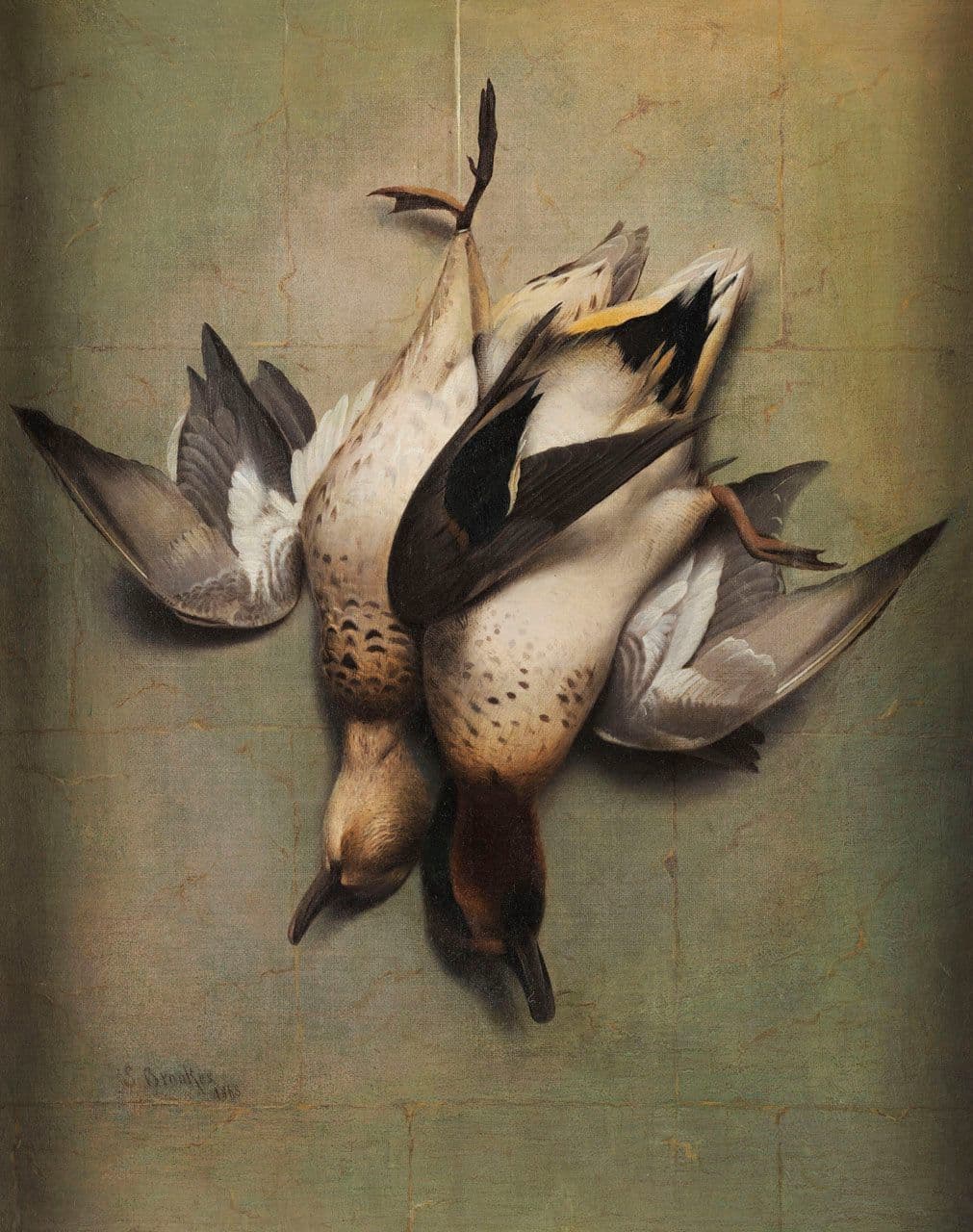 Game Birds
Samuel Marsden Brookes
19th Century
2015.115.3 Game Birds