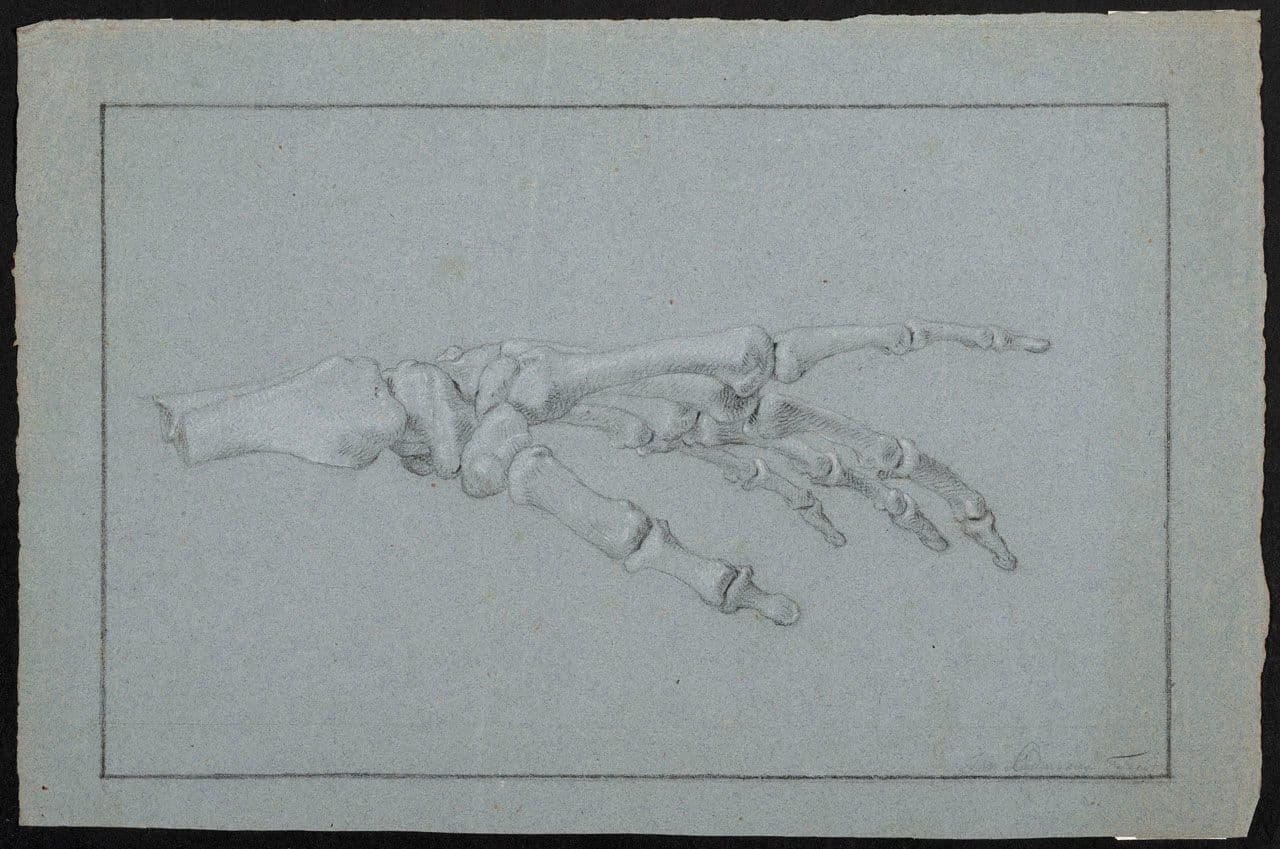 Study of the Skeleton of a Left Hand
Jan l'Admiral
17th Century,18th Century
2020.39.1 Study of the Skeleton of a Left Hand