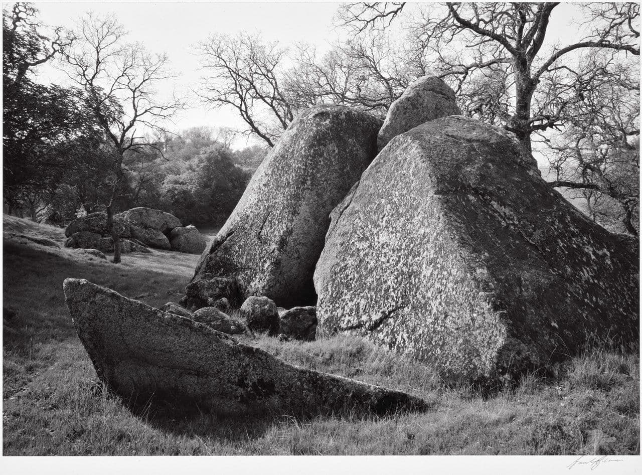 Rocks, Spring Valley Ranch
Ansel Adams
20th Century
1963.11.10 Rocks, Spring Valley Ranch