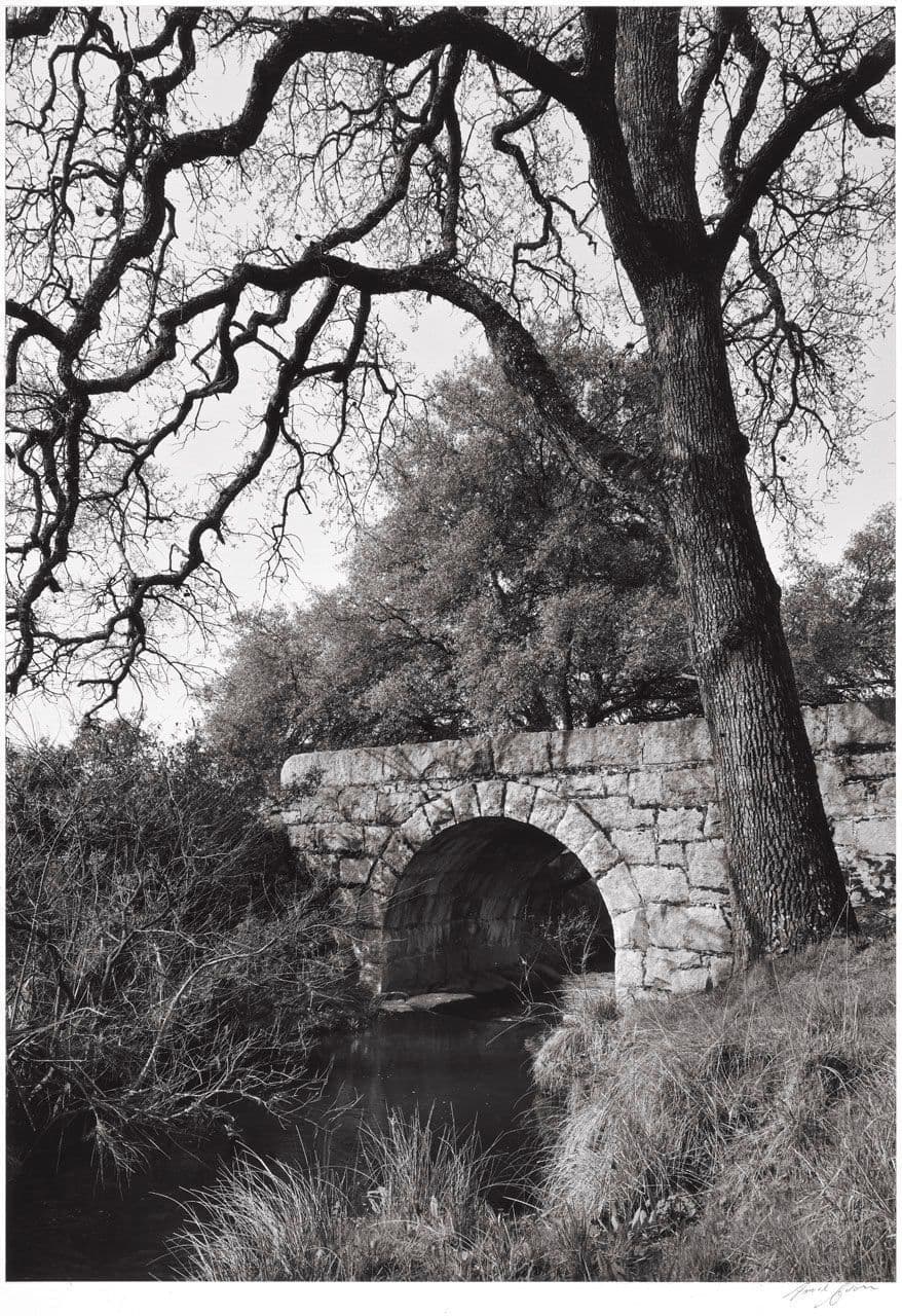 Arched Bridge—Trees
Ansel  Adams 
20th Century
1963.11.12 Arched Bridge—Trees