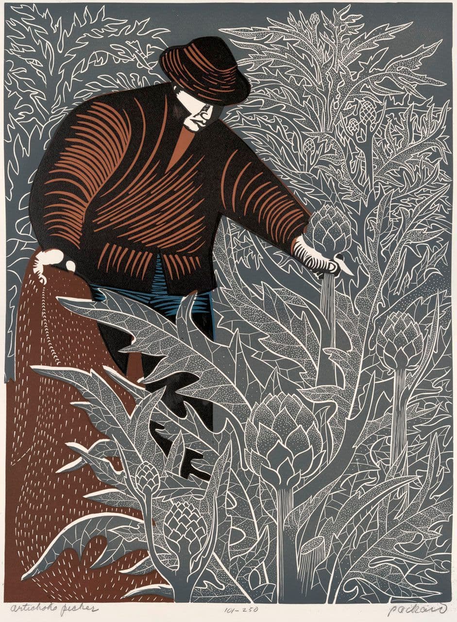 Artichoke Picker Artichoke Picker