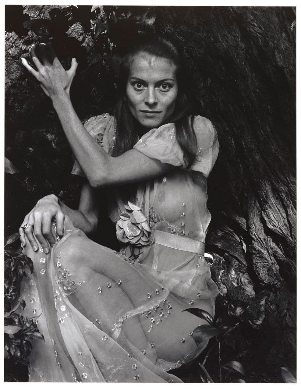 Twinka Thiebaud (Twinka and Tree)
Judy  Dater 
20th Century
1978.2.4 Twinka Thiebaud (Twinka and Tree)