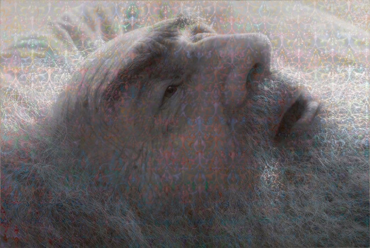 Portrait of My Father
Stephen  Kaltenbach 
20th Century
2001.85 Portrait of My Father