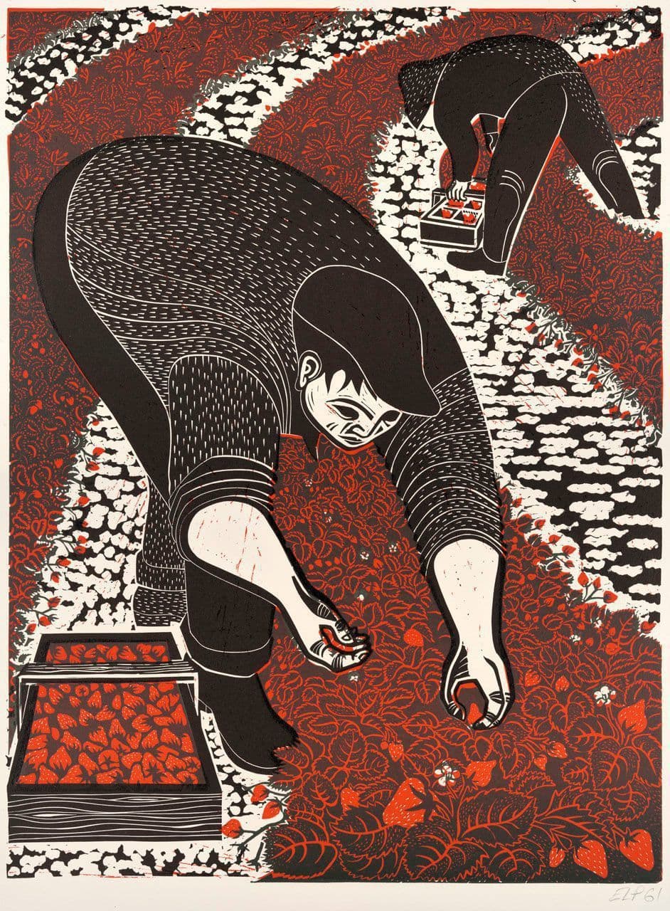 Strawberry Pickers Near Pajaro
Emmy Lou Packard
20th Century
2001.80.14 Strawberry Pickers Near Pajaro