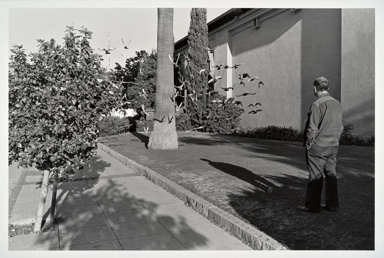 Untitled, from the New California Views portfolio
Henry Wessel
20th Century
2015.90.19 Untitled, from the New California Views portfolio