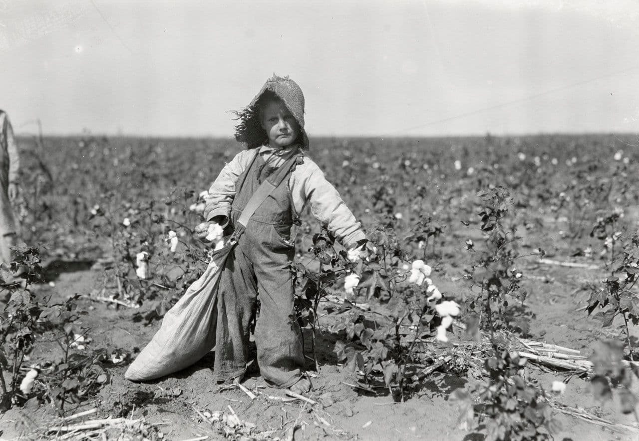 Child Picking Cotton
Lewis Hine
20th Century
2018.104.9 Child Picking Cotton