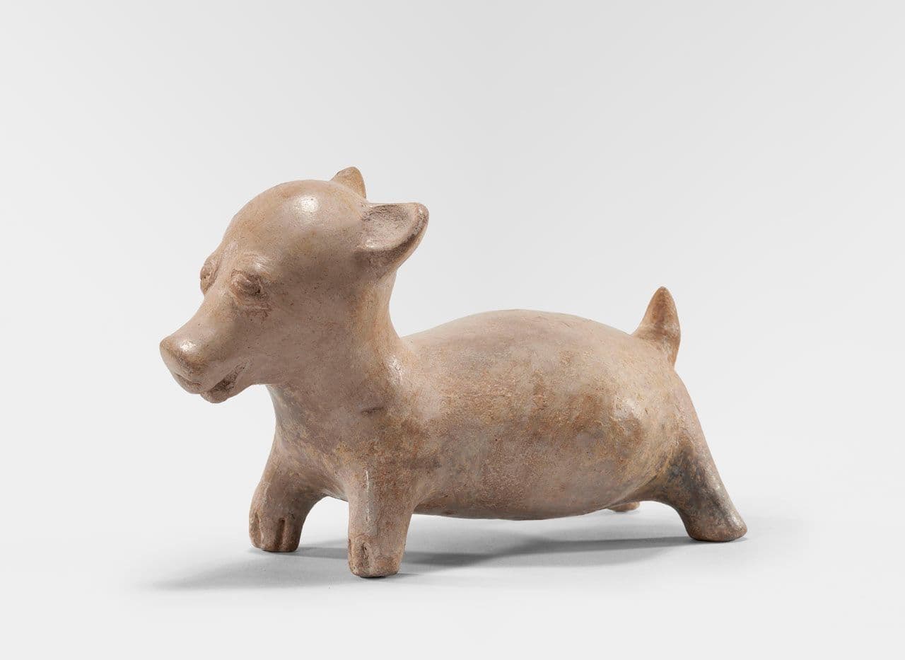 Dog
Jalisco, Mexico (3rd century BCE–3rd century CE)
3rd Century BCE,2nd Century BCE,1st Century BCE,1st Century,2nd Century,3rd Century
2021.75.17 Dog
Jalisco, Mexico (3rd century BCE–3rd century CE)
3rd Century BCE,2nd Century BCE,1st Century BCE,1st Century,2nd Century,3rd Century
2021.75.17