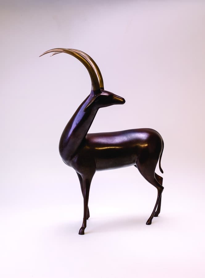 Antelope