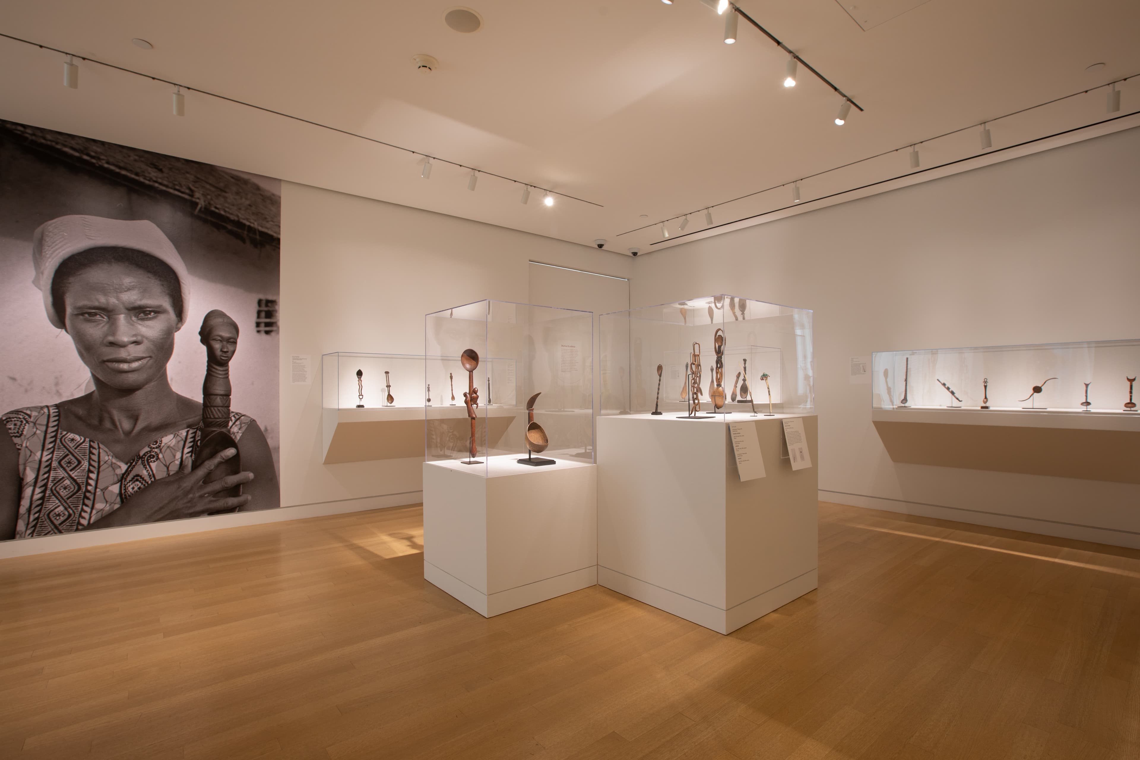 A Taste of Beauty Install A Taste of Beauty Install