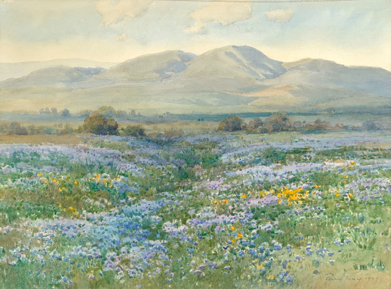 Lupine in Kern County - Percy Gray - 2021.118.1