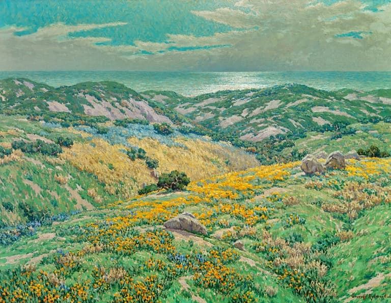 Sand Dunes