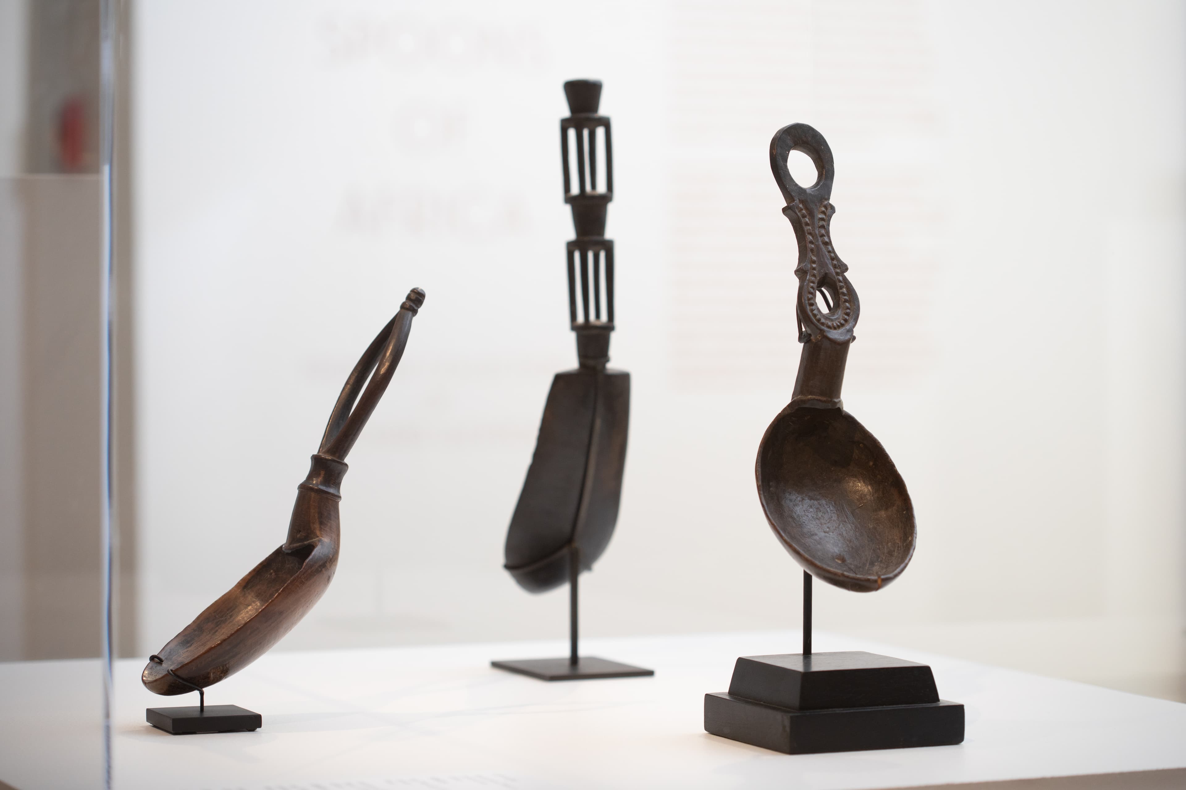 A Taste of Beauty Install A Taste of Beauty Install