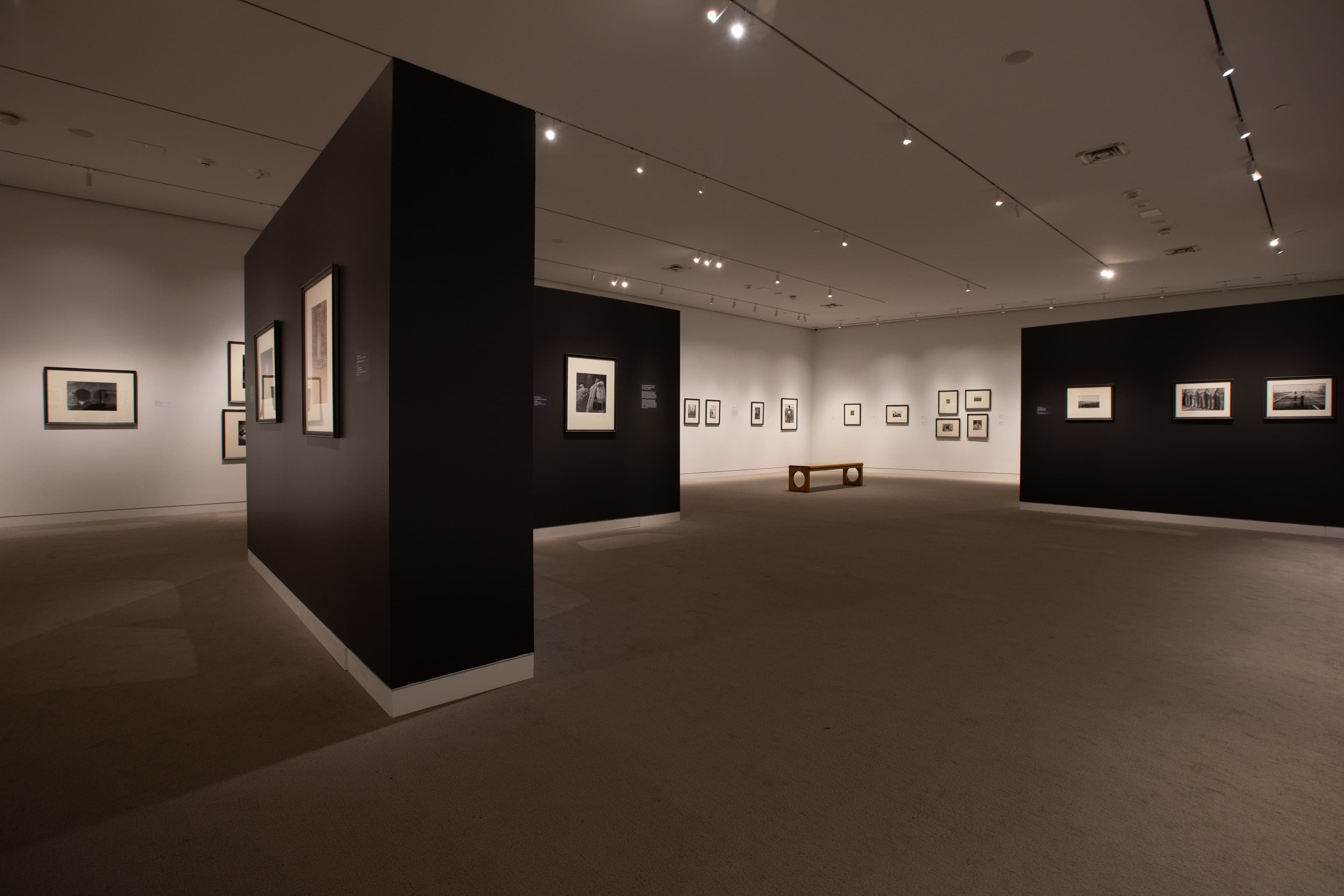 Frames of Mind Installation Images 3 Frames of Mind Installation Images 3