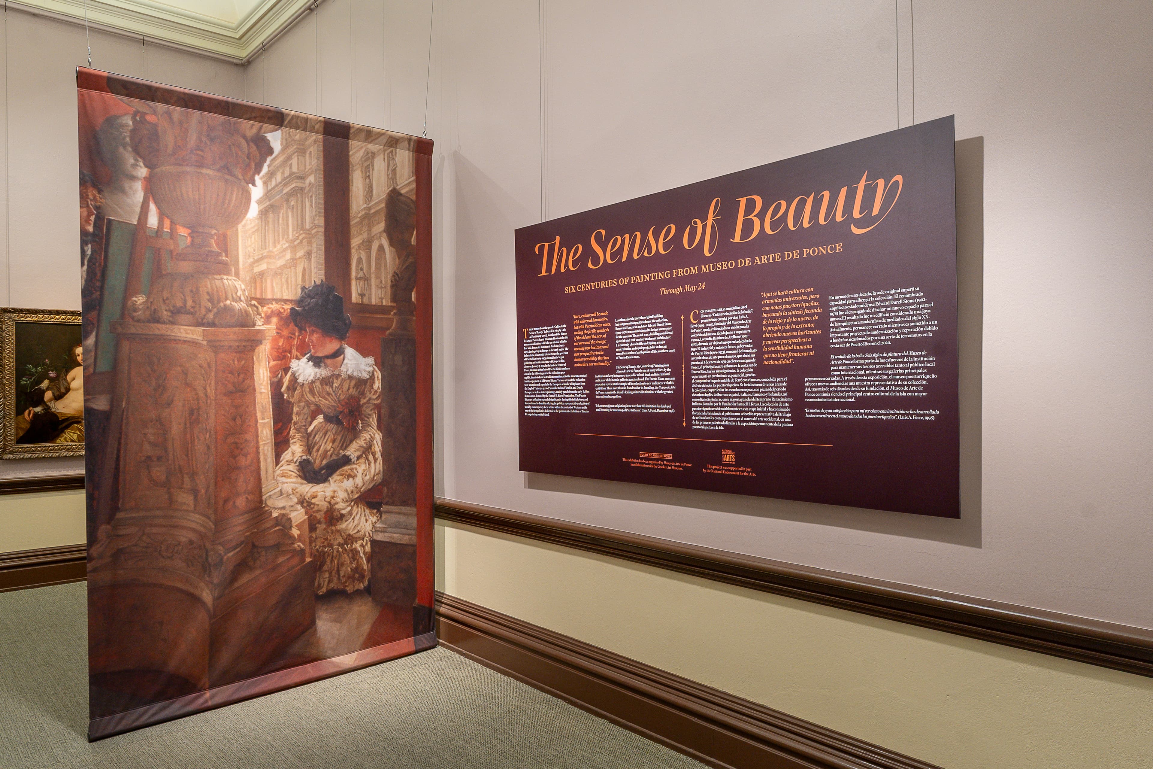 The Sense of Beauty Installation Image The Sense of Beauty Installation Image