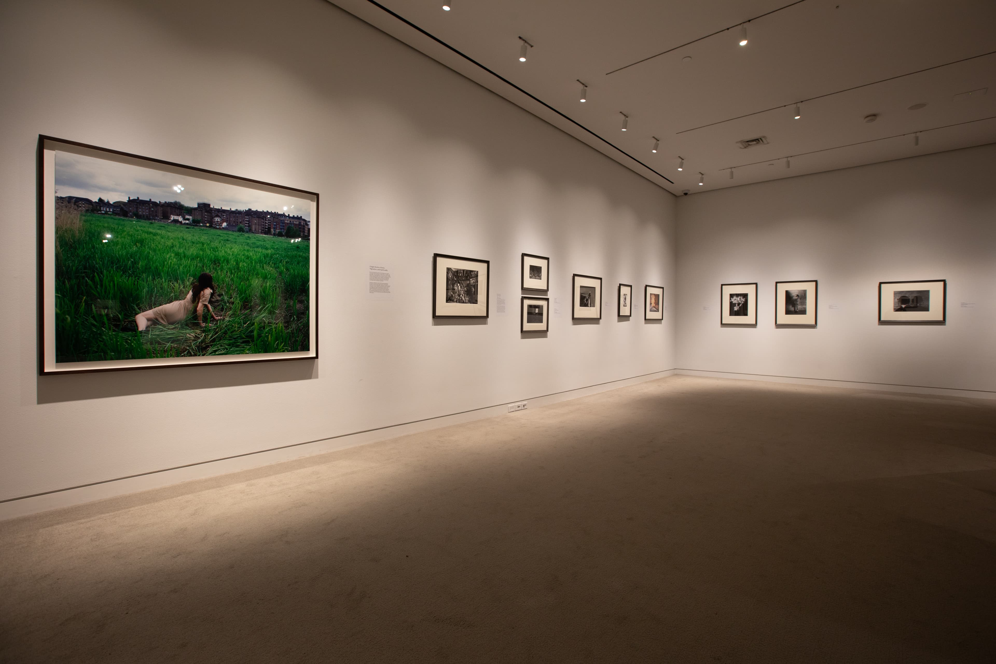 Frames of Mind Installation Images 5 Frames of Mind Installation Images 5