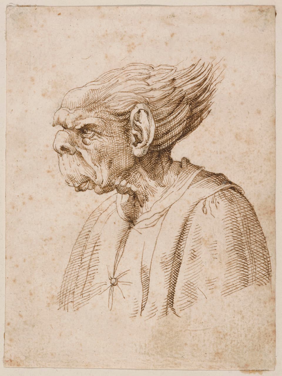 Man with Parrot Face - Wenceslaus Hollar - 1871.1112
